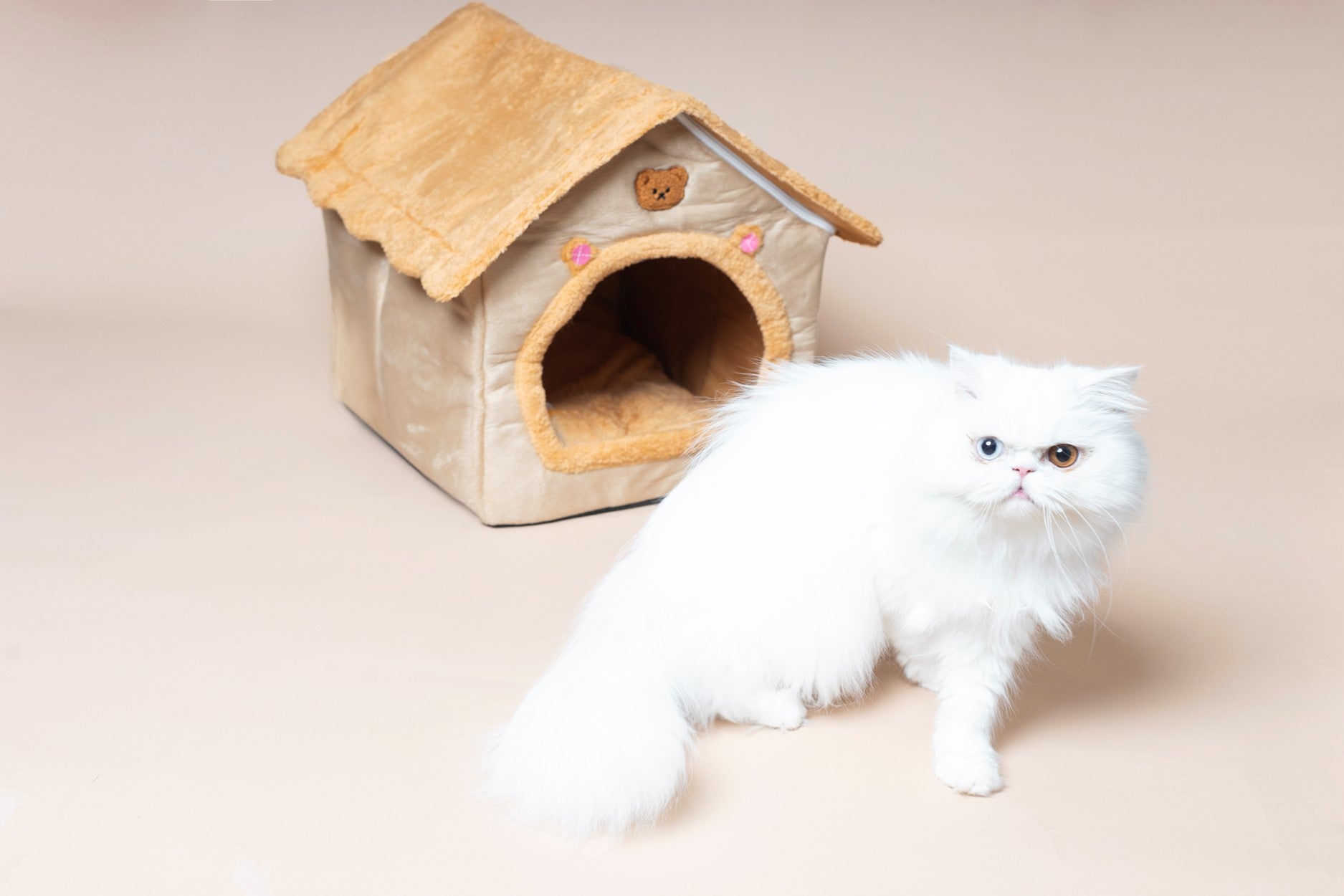 Foldable Pet House