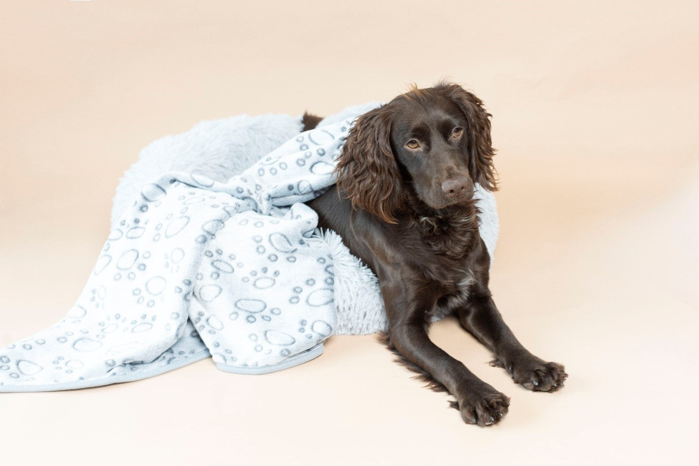 Fluffy Pet Blanket